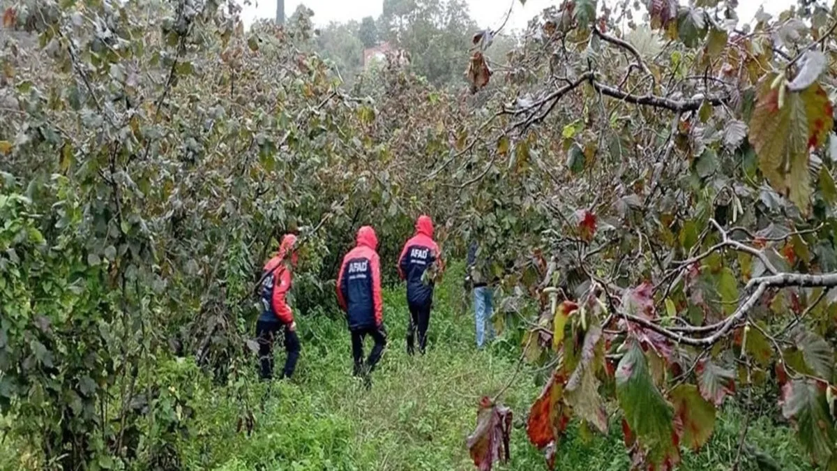 Yer Ordu: Hurma toplamaya gitmişti! Cansız bedeni bulundu…
